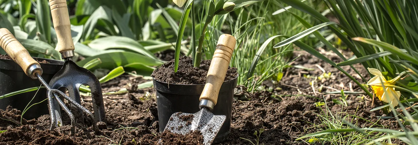 Spring Garden Revival